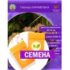 Гейхера КАРАМЕЛЬКА (СЕМЕНА) - саженцы из питомника