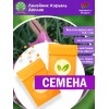 Лилейник Белив ин Миракл Лилейник Белив ин Миракл