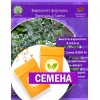 Бересклет форчуна Эмеральд Гаети (СЕМЕНА) - саженцы из питомника