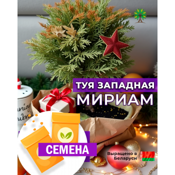 Туя Мириам западная (СЕМЕНА)