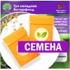 Туя западная Вотерфилд (СЕМЕНА) - саженцы из питомника Туя западная Вотерфилд (СЕМЕНА) - саженцы из питомника