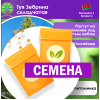 Туя Зебрина складчатая (СЕМЕНА) - саженцы из питомника