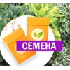 Хоста средних или мини СМЕСЬ 3 шт (СЕМЕНА) - саженцы из питомника Хоста средних или мини СМЕСЬ 3 шт (СЕМЕНА) - саженцы из питомника