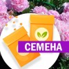 Пион травянистый Розовый (СЕМЕНА) - саженцы из питомника